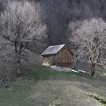 Alpen Brandnertal Brand (Vorarlberg)