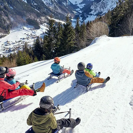 Alpen Brandnertal מלון 3*