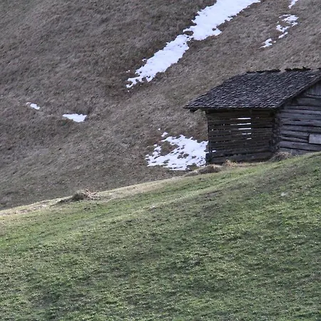 Alpen Brandnertal מלון בראנד