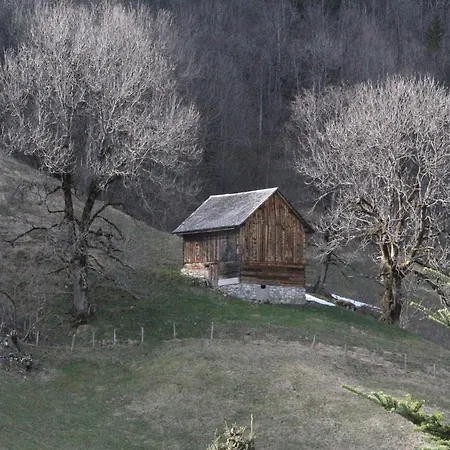 Alpen Brandnertal בראנד