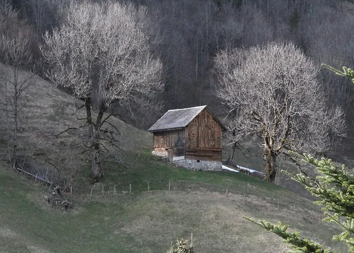 Alpen Brandnertal Brand (Vorarlberg)